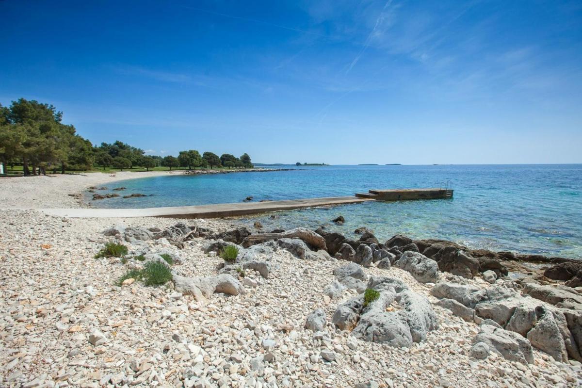 Apartment Dolly Completely Renovated 2023 Rovinj Exteriér fotografie